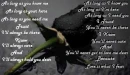 A poem I wrote about fearing love