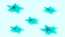Aqua Stars