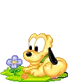 Baby pluto