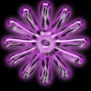 hot pink XD flower