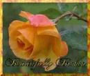 Beautifully Broken