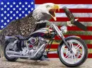 flag with bird and bike