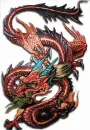 mixed dragon