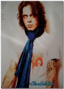 Ville Valo 