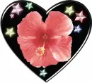 heart with flower in it