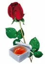 heart w flower