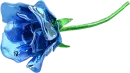 glass blue rose