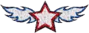 Starwithwings