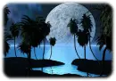 night life