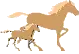 horses