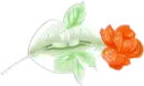 lips with orange rose