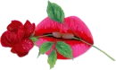 pink lips with red rose