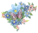 flowers with butterfly