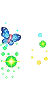 butterflys Floaties