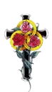 cross