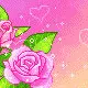 hearts and pink roses