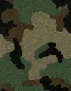 camo