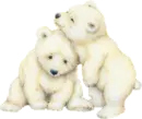 2 white bears