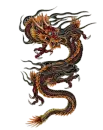 red,black and orange dragon