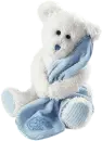 its a boy bear