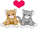 cats n love