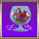 rose in a glass
