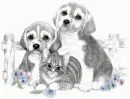 puppys and kitty