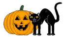 halloween & black cat