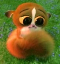 cute