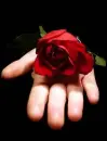 offering