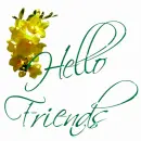 hello Friends