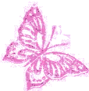 Pink Butterfly