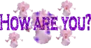 how are you?