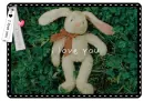 BUNNY PIC