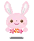 cute Bunny