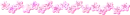 Pink Stars