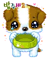 cute puppy cry