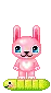 cute Bunny