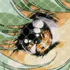 eye