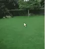 LOL!!!