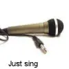 Sing