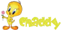 First Name 