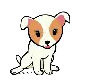 little dog giving kisses