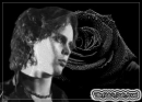 Ville