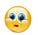 smilie3