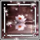 one singel pink flower