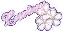 Glitter name
