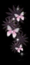 pink buttrflys