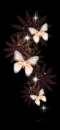 peach butterflys