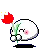 Giving a Flower